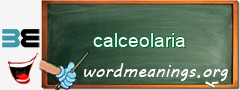 WordMeaning blackboard for calceolaria